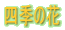 四季の花